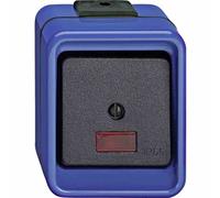 Merten 375998 Elektroschalter Schwarz - Blau (375998)