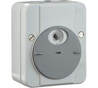 Merten - ARGUS - 544894 - Variateur - Avec temporisation - Gris clair (Import Allemagne)
