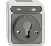 MERTEN Bouton-poussoir de volet roulant pour cylindre de fermeture gris clair AQUASTAR MEG3 MEG3717-8029 (MEG3717-8029)