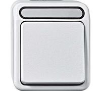 Merten MEG3116-8019 AQUASTAR Interrupteur Marche/arrêt 1 pôle Blanc Polaire
