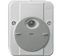 MERTEN TL 2300 Interrupteur crépusculaire 544829 TWINLIGHT gris clair 544829 (544829)