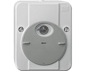 MERTEN TL 2300 Interrupteur crépusculaire 544829 TWINLIGHT gris clair 544829 (544829)