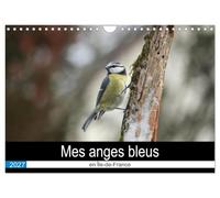 Mes anges bleus en Île-de-France (Calendrier mural 2027 DIN A4 vertical), CALVENDO calendrier mensuel: La mésange bleue dans des postures improbables