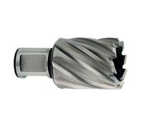 Metabo Foret HSS de 31 x 30 mm 19 mm Tige Weldon (une réduction) cm