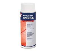 Metaltop - Peinture Bois Exterieur - Vert blanc - RAL 6019 - Bombe 400 ml - Finition brillante, haute résistance aux UV et intempéries, pose facile.