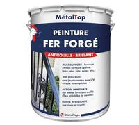 Metaltop - Peinture Fer Forge - Bleu pigeon - RAL 5014-1 L - Protection antirouille durable avec finition soignée pour métal extérieur