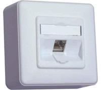 METZ CONNECT 130B11D10002-E Prise RJ-45 Blanc (130B11D10002E90)