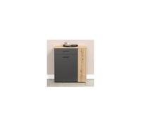 trendteam Smart Living - Esteban - Commode - chêne Anthracite - Meuble à Chaussures avec Espace pour jusqu'à 6 Paires de Chaussures - (l x H x P) 80 x 88 x 36 cm - Armoire à l'aspect rainuré élégant
