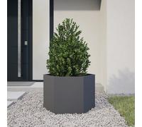 Meubles Bacs à plantes Anthracite Hexagonal 69x60x45 Acier - Parterres 851124