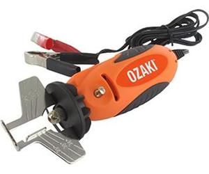 Meuleuse électrique portable Moteur 12 V avec connexion par pinces crocodiles. Livraison comprenant un rapporteur d'angle et 3 meules.