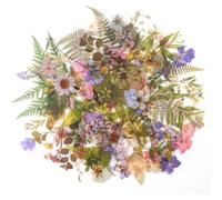 Mevronisshop-160pcs Naturels Autocollants Set, Floraux Et Plante Stickers, Divers Autocollants Botaniques De Forme Spéciale Pour Bricolage, Bullet Journal, Cahier, Téléphone Portable, Calendriers