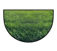 Mexpekil Paillasson en demi-lune pour intérieur et extérieur - Lavable - Absorbant - Attrape la saleté - Demi-rond - Vert - 61 x 91 cm