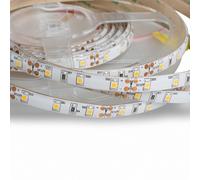 Mextronic Ruban LED 3528 Blanc Chaud 2700K 12V 48W 5m IP44 Dimmable