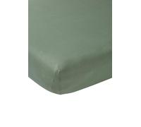 Meyco Home Basic Jersey Drap de lit Simple (Drap de qualité Jersey Doux, 100% Coton, Ajustement Parfait grâce à Un Cordon élastique sur Tout Le pourtour, Respirant, Taille : 180 x 200 cm), Vert forêt