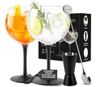 MIAMIO - lot de 2 verres à gin 650 ml Crystaluna pour la maison | Verres à gin pour gin tonic et cocktails, 650 ml, Crystaluna. Design moderne et pratique pour la cuisine et le quotidien.