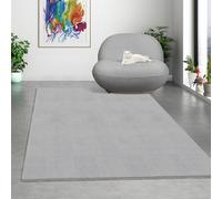 Mia's Teppiche Comfort Tapis Moderne Moelleux à Poils Courts, Dessous antidérapant, Lavable à 30 degrés, Super Doux, Aspect Fourrure, Gris, 120 x 160 cm