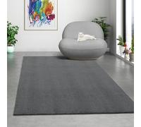Mia's Teppiche Comfort Tapis Moderne Moelleux à Poils Courts, Dessous antidérapant, Lavable à 30 degrés, Super Doux, Aspect Fourrure, Anthracite, 200 x 280 cm