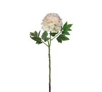 MICA Decorations 1005723 Fleurs Beige