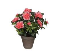 MICA Decorations 950331 Fleurs, Azalée, Orange