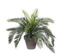 Mica Decorations Cycas Palmier Vert 40