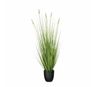 MICA Decorations Eremurus - Gazon Artificiel en Pot - Fausse Plante Interieur - Plantes Artificielles Interieur - H110 x Ø35 cm - Vert, Blanc