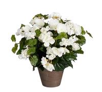 MICA Decorations Plante Artificielle bégonia en Pot Ciment - H37 x Ø36 cm - Blanc