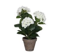 Mica Decorations Plante artificielle hortensia - H40 x Ø35 cm - Blanc