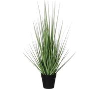 Mica Decorations Plante artificielle Pluimgras - 1x1x53 cm - PVC - Vert