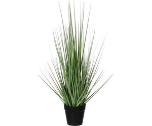 Mica Decorations Plante artificielle Pluimgras - 1x1x53 cm - PVC - Vert