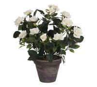 Plante artificielle Mica Decorations Rosebush Blanc Polyester H33xl25xL25cm Blanc G