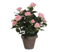 Mica Decorations Plante artificielle – Rosier en pot en ciment Polyester H33 × Ø25 cm Rose