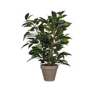 MICA Decorations Plante décorative 40 x 30 cm Céramique Vert PVC Ficus