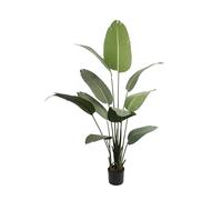MichaelNoll Plante Artificielle Plante Artificielle Banane Plante Bananier Plante en Pot Noir Grand et Très Réaliste Vert (160cm)