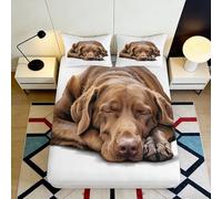 Microfibre Douce Marron Chien Fitted Sheet Impression 3D Puppy Bed Cover pour Cadeaux Pendaison de crémaillère Mariage Anniversaire 90x200x25cm