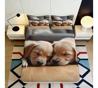 Microfibre Doux Capybara Animal Housse de Matelas 3D Imprimée Décor Chambre Dessin Animé Close Up Facile à Nettoyer Lit 90x200x25cm