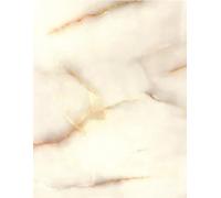 MIELL Panneau Décoratif PVC Effet Marbre 122 x 260 cm 3 mm Hydrofuge pour Salle de Bain Crédence Salon