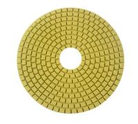 MiJunHD Tampon de polissage au diamant, 200 mm 8 pouces 100 grains Disques de polissage pour meuleuse et polisseuse, pour granit, marbre, béton et pierre, crochet boucle support (1 pièce)