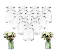 mikken 12 petits vases en verre de 9 cm, bouteilles en verre avec goupillon