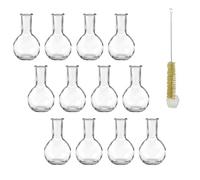 mikken Lot de 12 Petits vases-Bouteilles en Verre 10 cm avec écouvillon Transparent