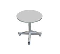 Milageto Rotatif Support de Peinture Plateau Tournant Table de Travail Colonne Centrale Base Cinq Branches en Acier Inoxydable, Diamètre 50cm Hauteur 80cm