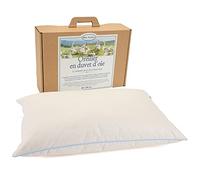 Mille Oreillers Oreiller en Duvet d'oie Souple - 40 x 60 cm