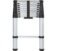 Milton & Oldbrook échelle télescopique 3,2 m Braga