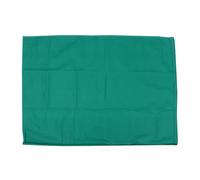 MINAOLULUS Housse de Protection Plante pour Arbre Hiver, Non Tissée, Verte | Jardinage, Protège du Gel, Neige, du Vent Oiseaux, pour Jeunes Arbres et Tomates