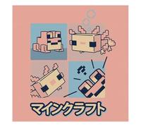 Minecraft Frog 30x30 Toile - Adorable décoration murale avec la grenouille Minecraft, prête à accrocher, idéale pour égayer n'importe quelle pièce avec une touche de plaisir Minecraft