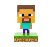 Minecraft Icon Steve