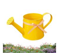 Mini arrosoir 1 L avec tête d'arrosage et ruban vichy | Arrosoir décoratif pour plantes d'intérieur pour maison, bureau, balcon, bonsaï, jardin, fleurs, semis d'intérieur