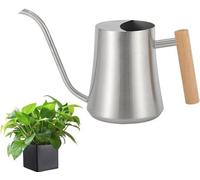 Mini arrosoir d'intérieur en acier inoxydable pour plantes d'intérieur et plantes grasses, 800 ml.
