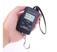 Mini balance numérique 40 kg x 10 g pour la pêche, les bagages, les voyages, la pondération de la cour en acier à suspendre, outil de poids de cuisine