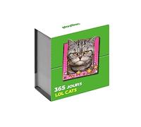 Collectif – Mini calendrier 365 jours LOL Cats – Cartonné – PlayBac