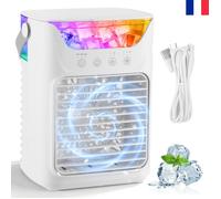 Mini climatiseur portable - INKBIRD - 4-en-1 - Silencieux - 3 vitesses - LED RGB